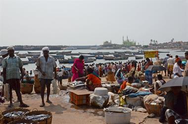 Vizhinjam, Fish Market,_DSC_9027_H600